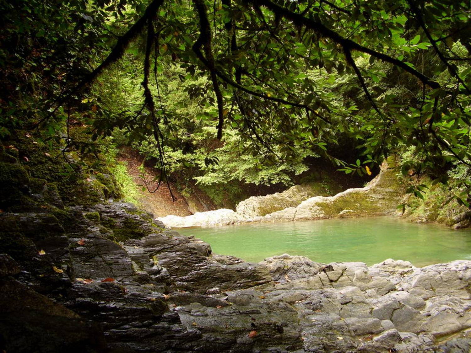 озера любви, водопад, лес, сочи, Наталья Герасименко