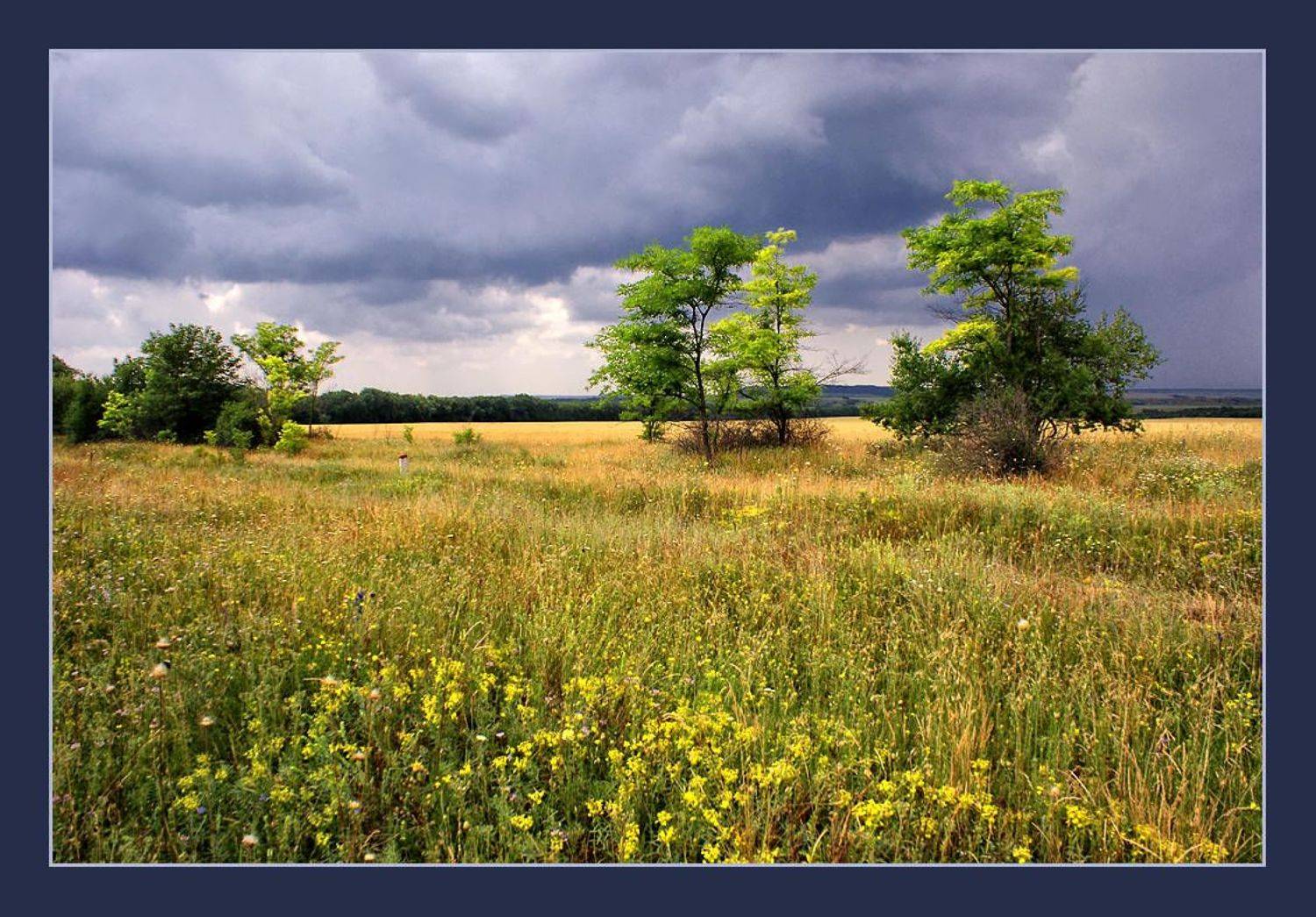 дождь, Safronoff Andrew