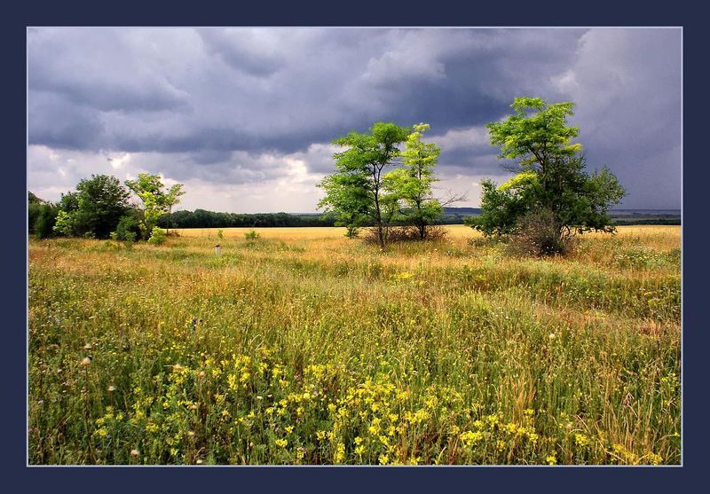 дождь Летний дождь фото превью