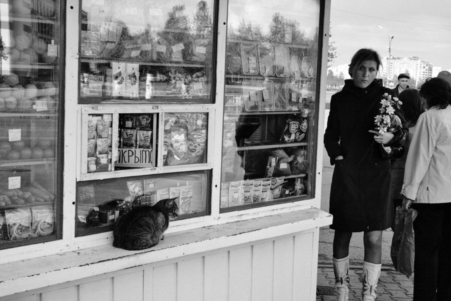 девушка, кот, ларек, Игорь Головачев