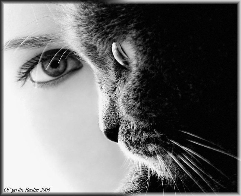 ...Одна сущность... фото превью