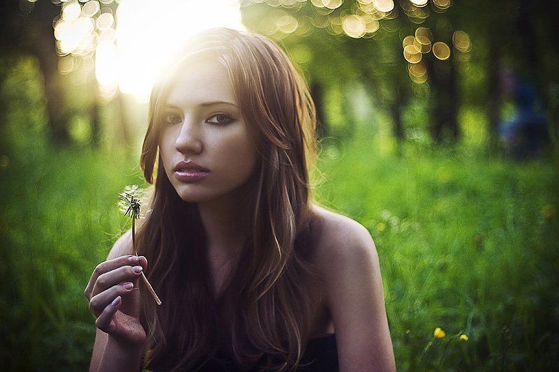 одуванчик  фото превью