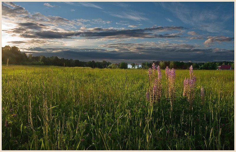 ### фото превью