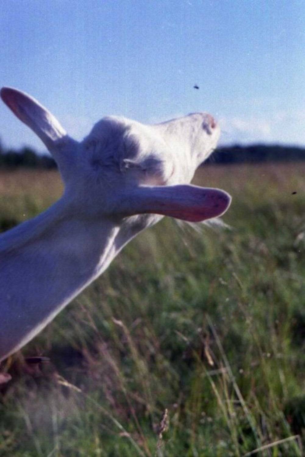 пленка, 35мм, Berezin Saveliy