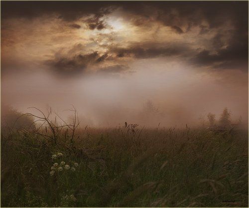 Про свидание двух птичек в тумане)