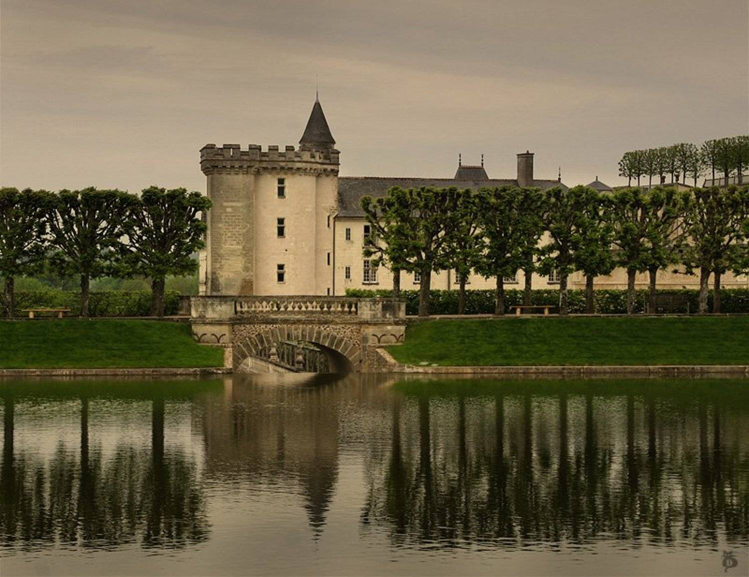 франция, вилландри, замок, сказка, Darn Cat