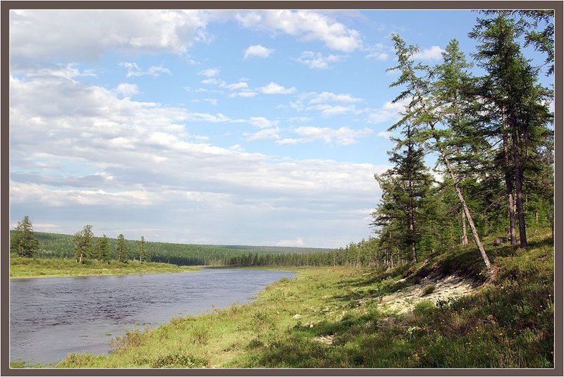 река,тайга Речной простор фото превью