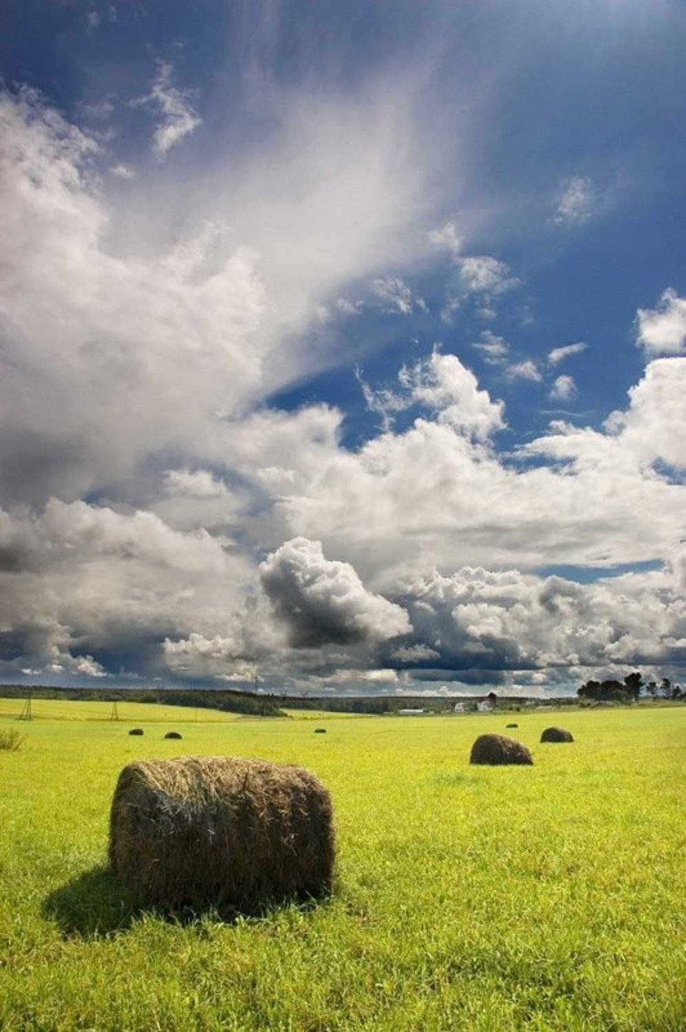 , Ефремов Юрий