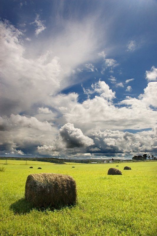 *** фото превью