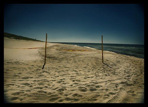 Lithuania-Russia summerboard
