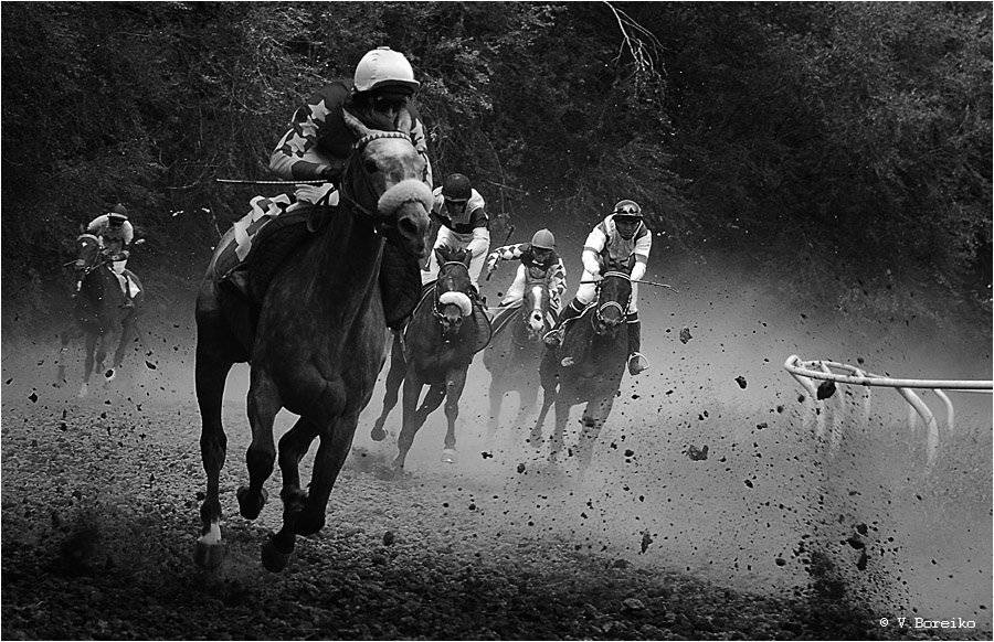 дерби, скачки, Вадько