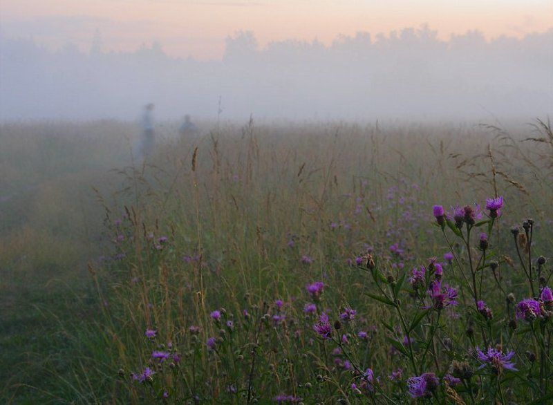 назавтра была жара фото превью