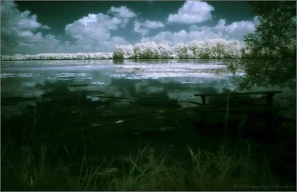 ик, пейзаж, infrared, инфракрасный, инфракрасное, pilgrim, hoya r72, pentax dl, Pilgrim