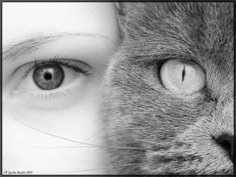 , Ольга Реалист