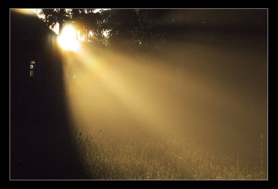 солце, рассвет, Andrey Malygin