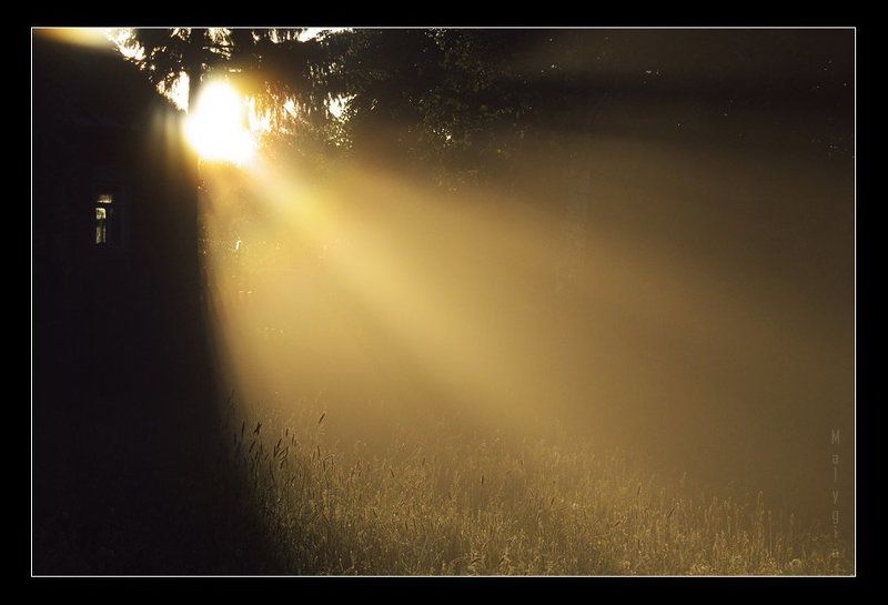 солце, рассвет The House Of The Rising Sun фото превью