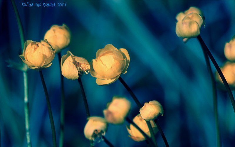 .... фото превью