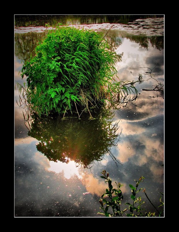 *  *  * фото превью