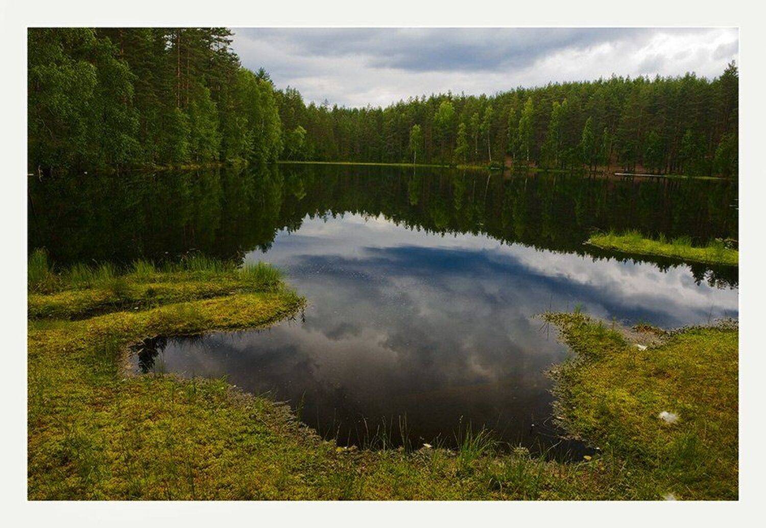 , Менькович Алексей