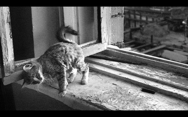 Дома! фото превью