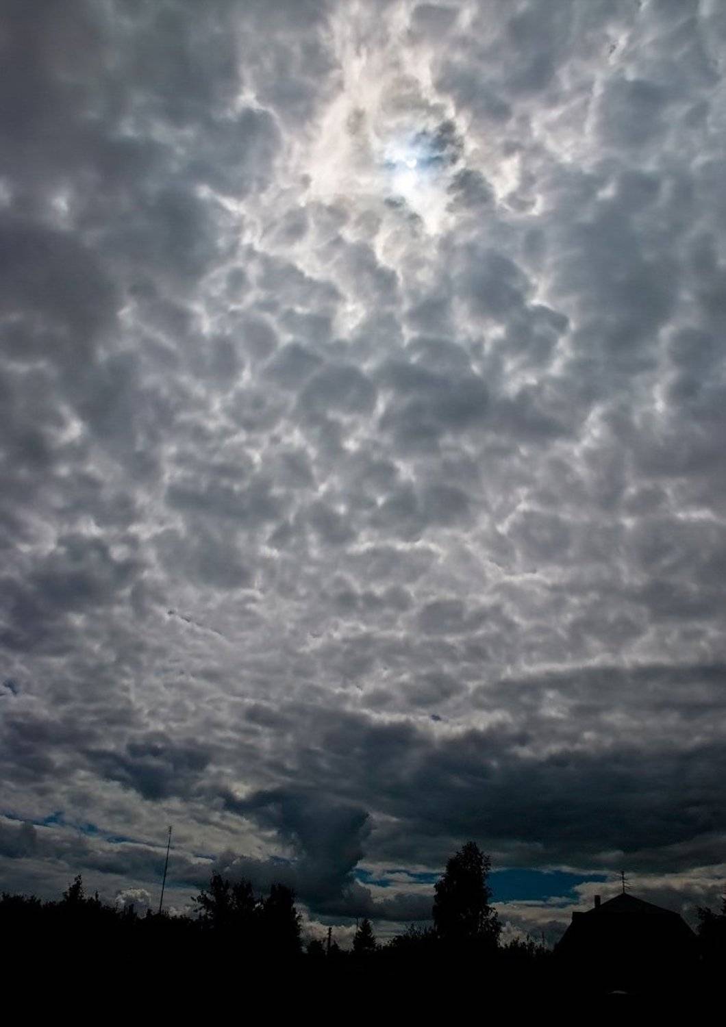 , Дмитрий Милосердов