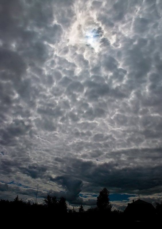 Солнечное затмение 2008 фото превью