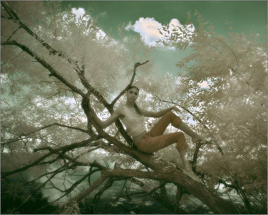 ик, портрет, infrared, инфракрасный, инфракрасное, pilgrim, hoya r72, pentax dl, Pilgrim