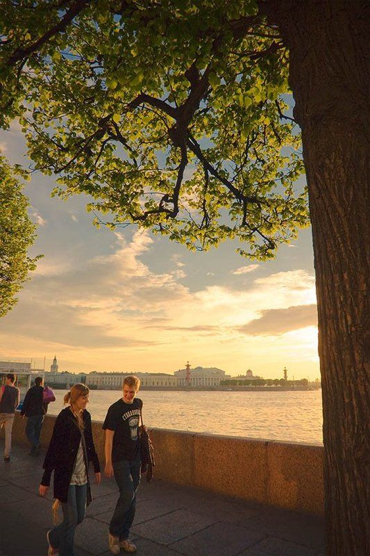 петербург.лето.теплый вечер  фото превью