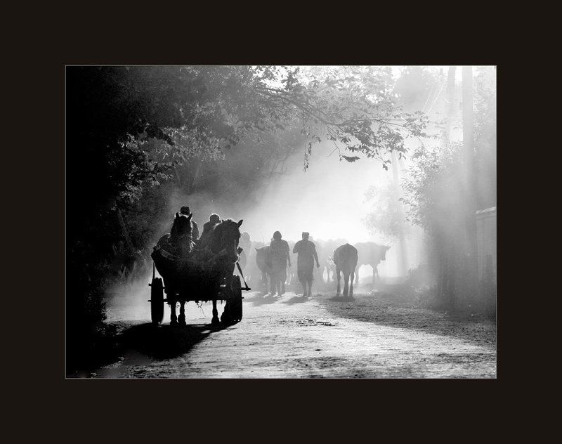 Домой... фото превью