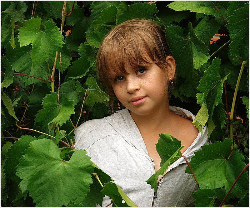 девочка лоза лето август зеленый виноград из жизни виноградной лозы фото превью