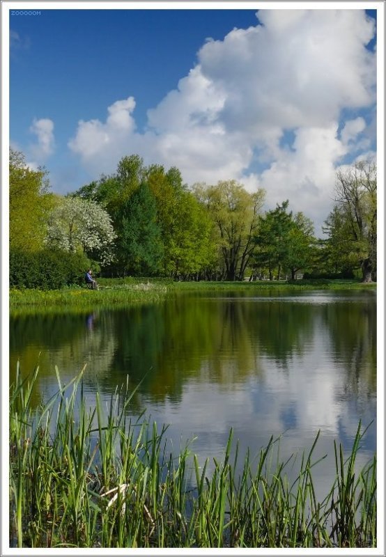 петербург парк победы Утро в весеннем парке 2 фото превью