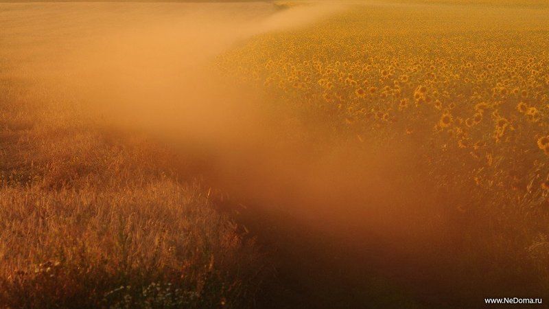 поле фото превью