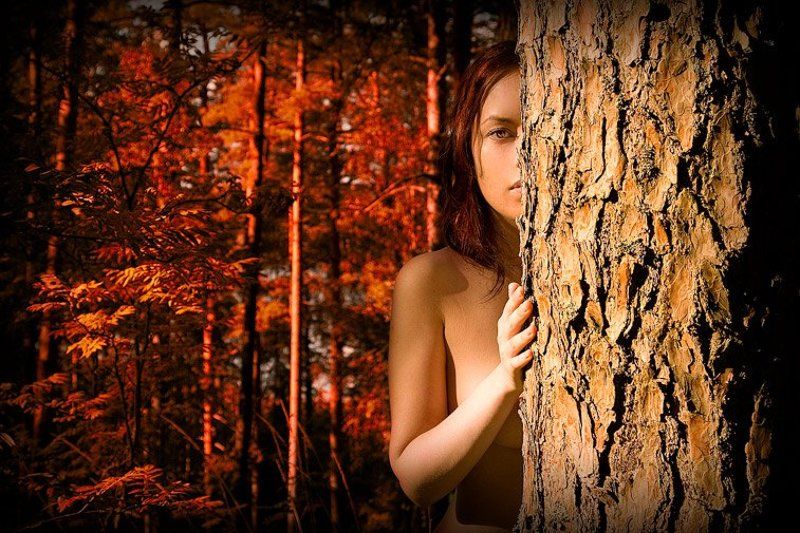 глаза,природы,пронзают,насквозь Дриада фото превью