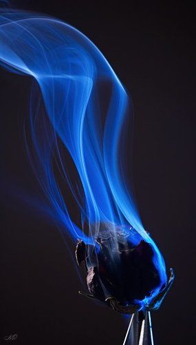 Отторжение...