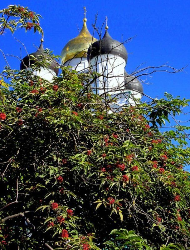 рябина после причастия фото превью