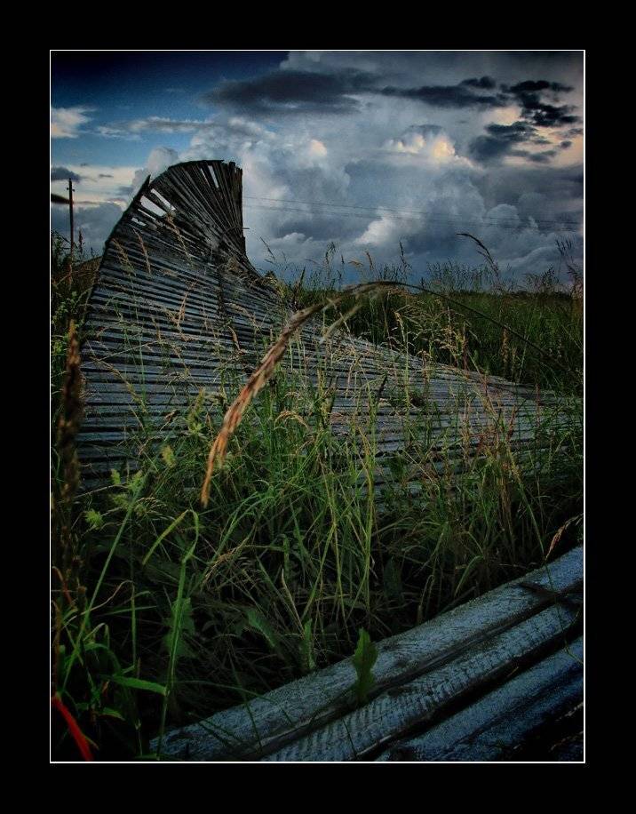 , Лунный Ежик