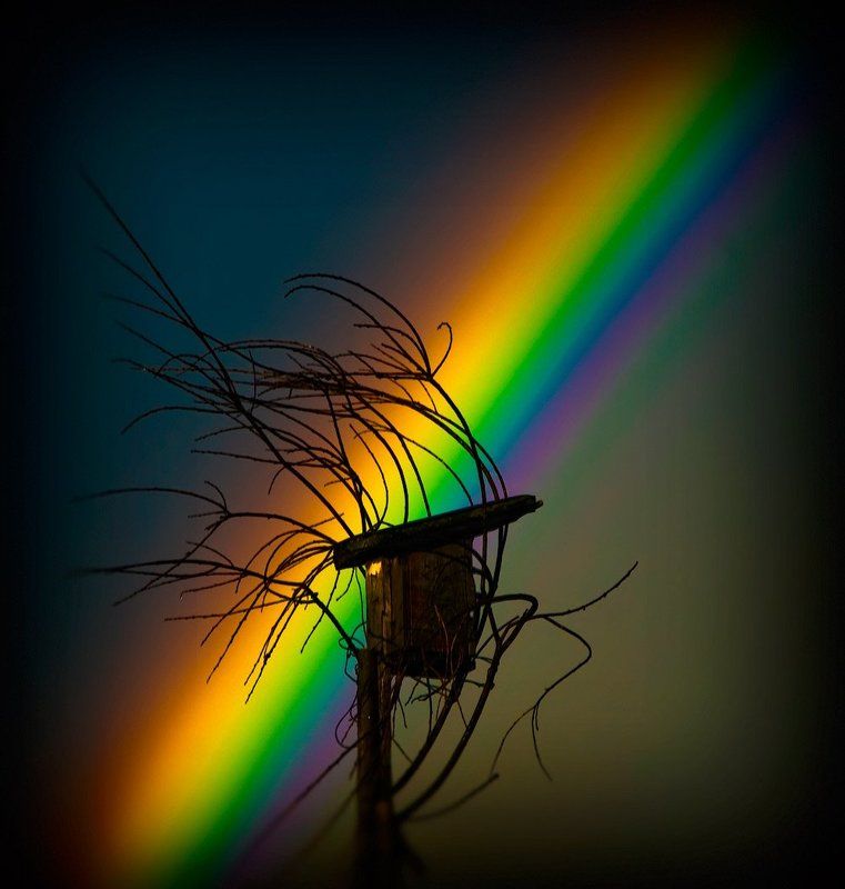 Радуга-Дуга фото превью