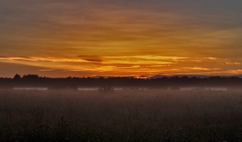 закат, деревня, лес, поле, туман  фото превью