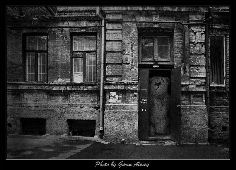 ** фото превью