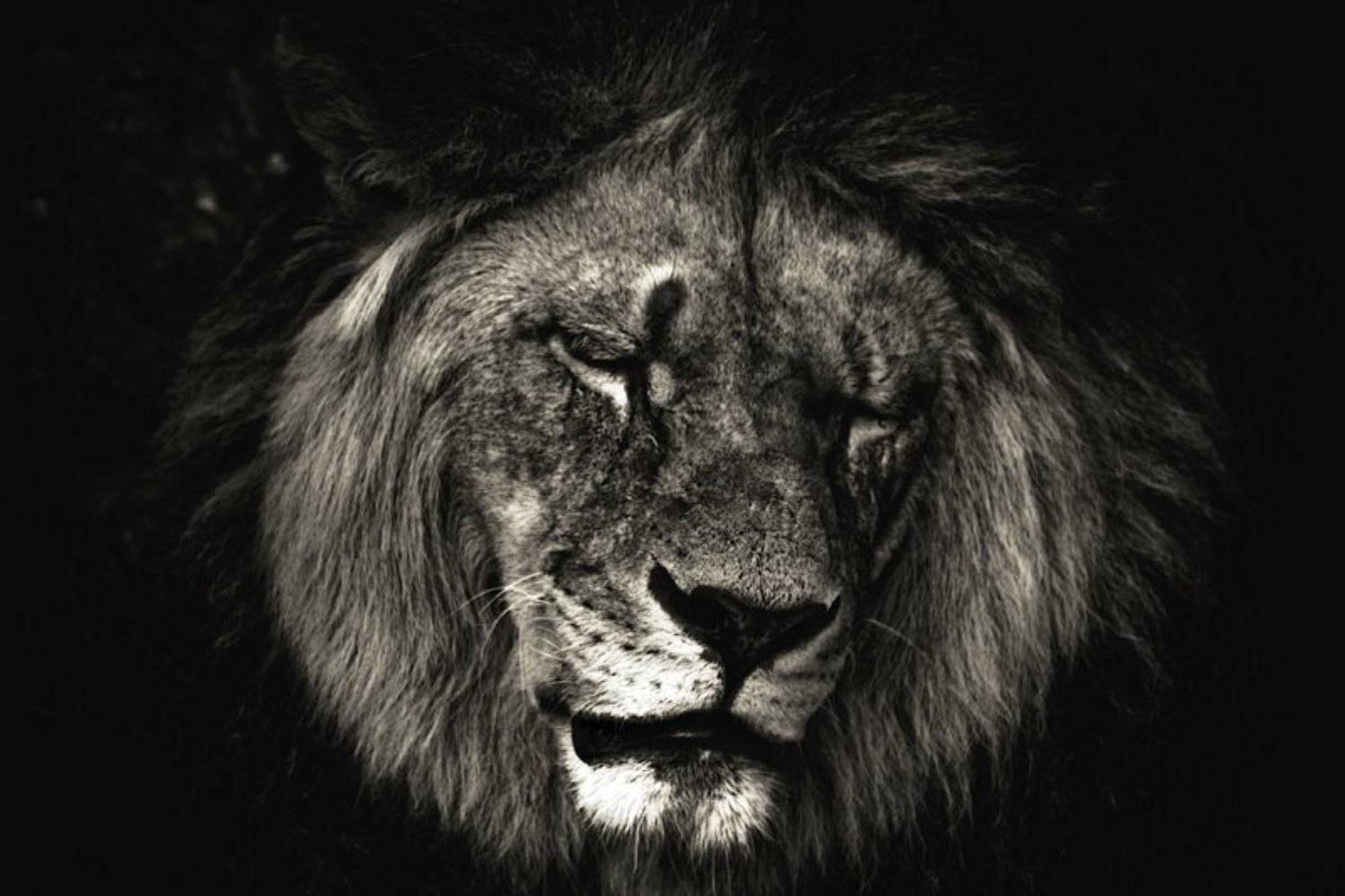 , Марк Пономаренко