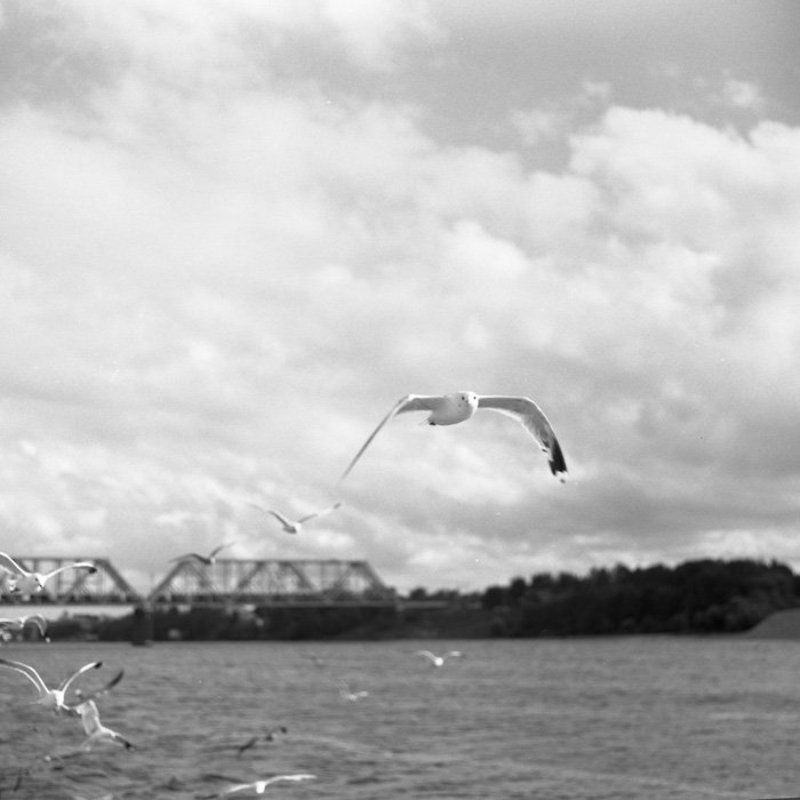 6x6, 120, пленка, киев-6с, волна-3, epson 4490, fomapan 400 *** фото превью