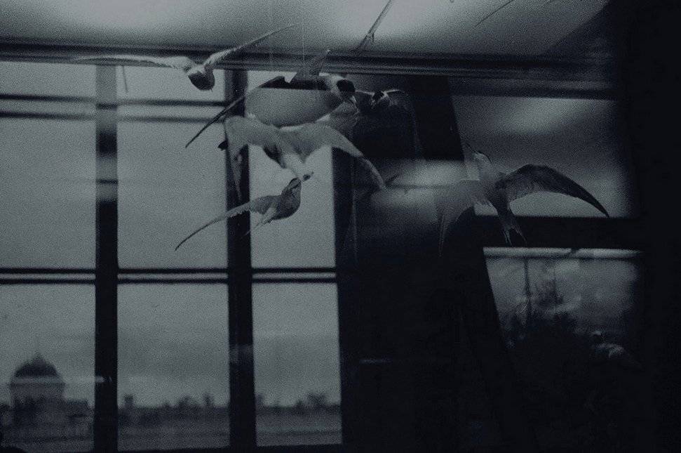 пианино, Deep in Violet