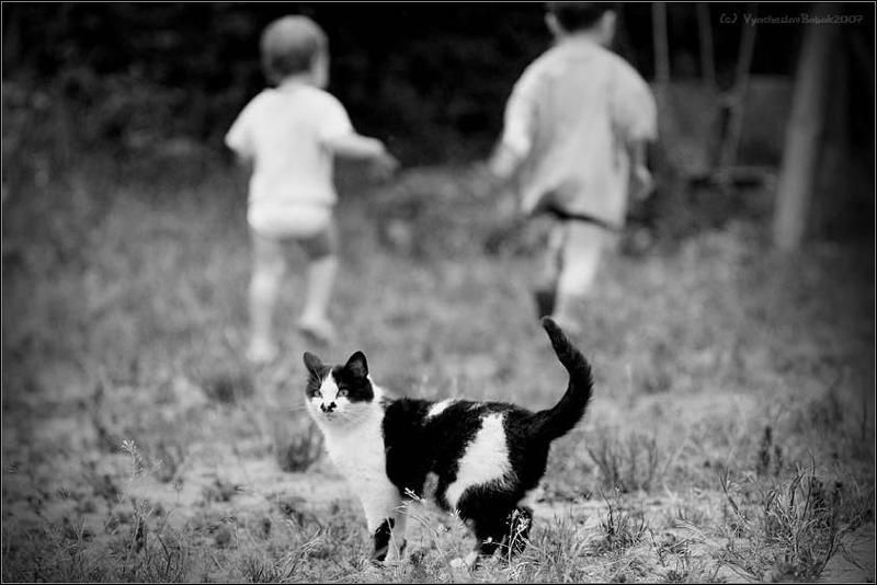 Сама по себе... фото превью