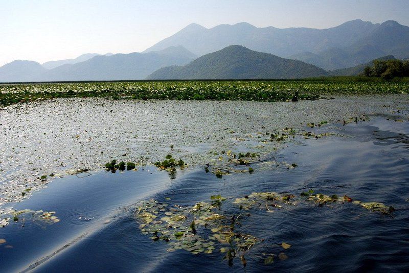 Тишина фото превью