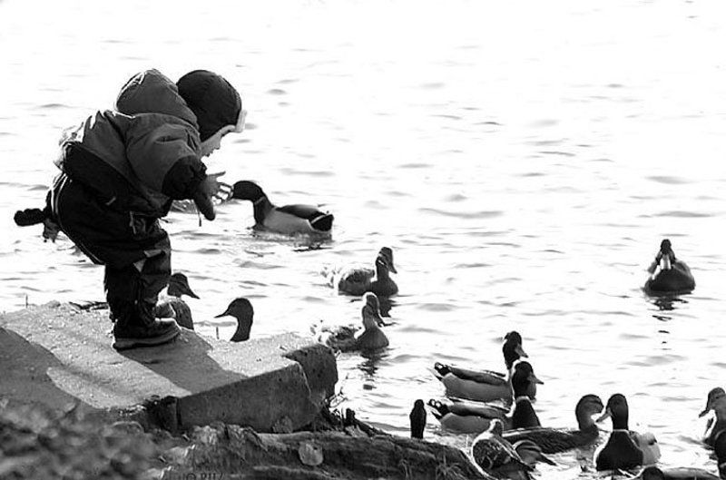 детки фото превью