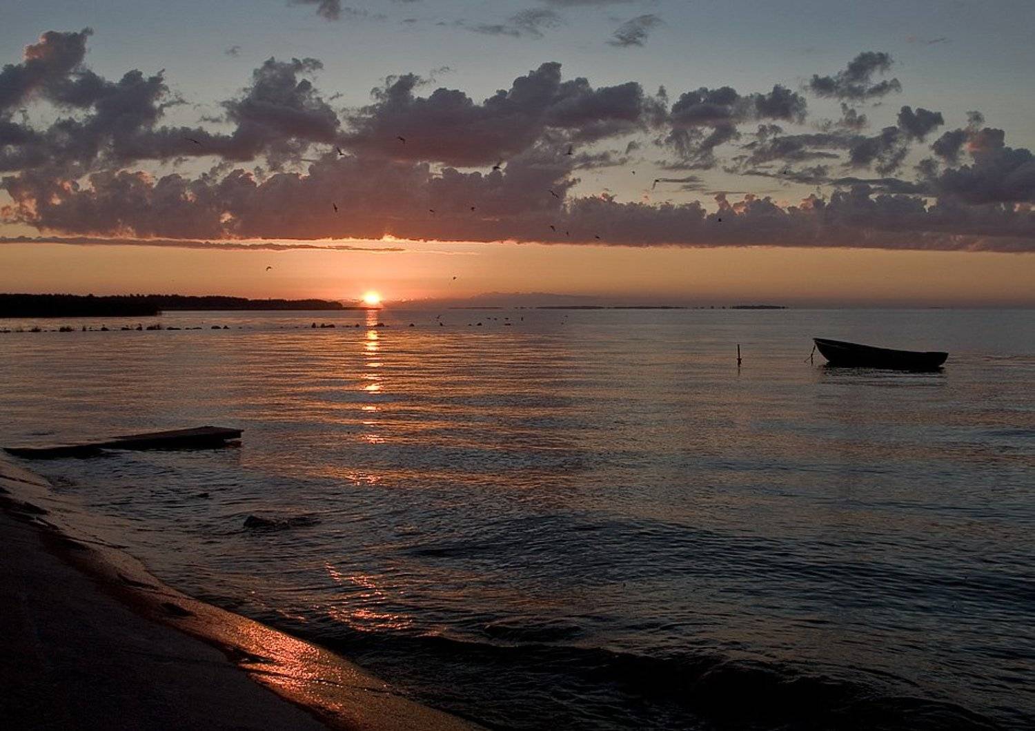 nida, Сергей Марискин