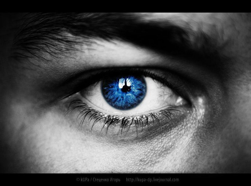 глаз взгляд Взгляд фото превью