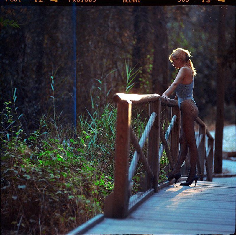 мотыльки фото превью