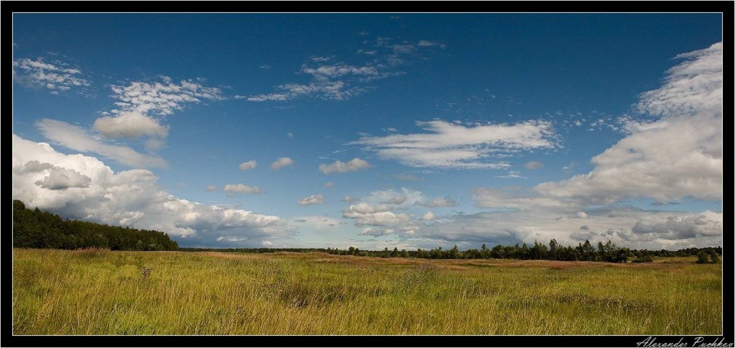 пейзаж, Alexander Puchkov