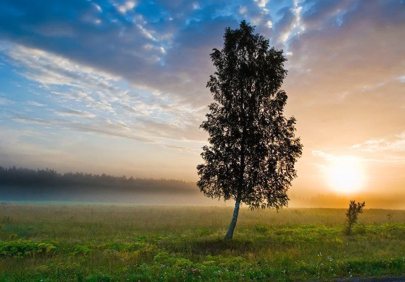 Утро в Клинской волости фото превью
